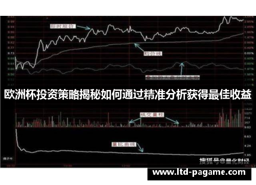 欧洲杯投资策略揭秘如何通过精准分析获得最佳收益
