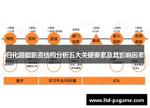 归化国脚薪资结构分析五大关键要素及其影响因素