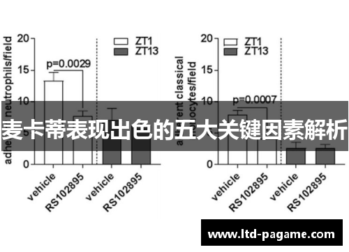 麦卡蒂表现出色的五大关键因素解析