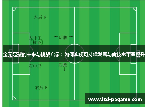 金元足球的未来与挑战启示：如何实现可持续发展与竞技水平双提升