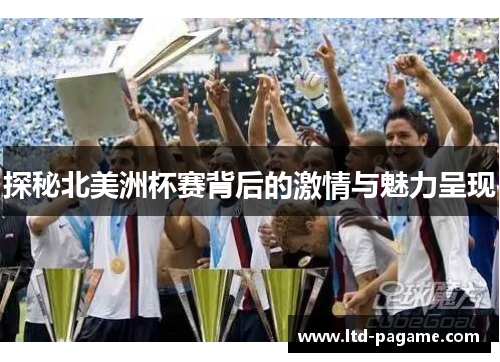 探秘北美洲杯赛背后的激情与魅力呈现