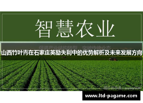 山西竹叶青在石家庄英励失利中的优势解析及未来发展方向