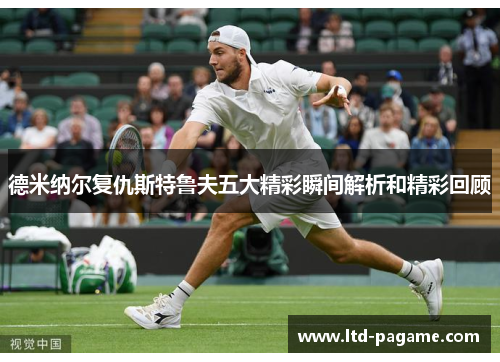 德米纳尔复仇斯特鲁夫五大精彩瞬间解析和精彩回顾