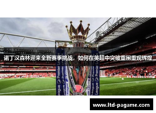 诺丁汉森林迎来全新赛季挑战，如何在英超中突破重围重现辉煌