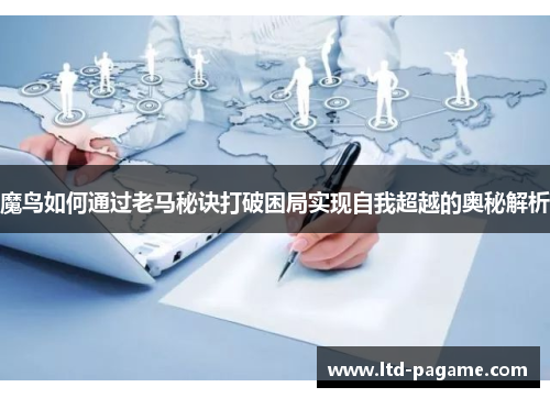 魔鸟如何通过老马秘诀打破困局实现自我超越的奥秘解析