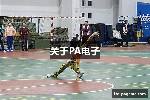 关于PA电子
